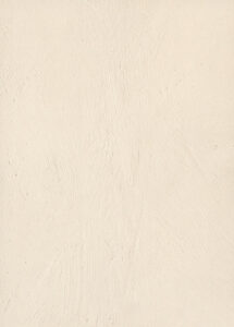 F385 ST10 Cement