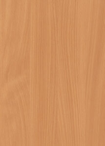 H1511 ST15 Bavarian Beech