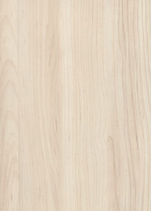 H3860 ST9 Champagne Hard Maple