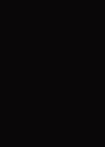 U999 ST2 Black