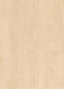 H1733-ST9 Mainau Birch