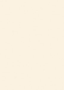 U216 18 ST9 Came Beige