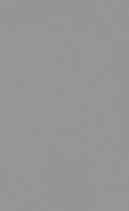 U788 18 ST9 Arctic Grey