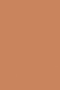 U830 18 ST9 Caramel Nude