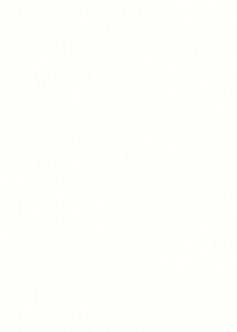 W1100 18 ST9 Alphine White