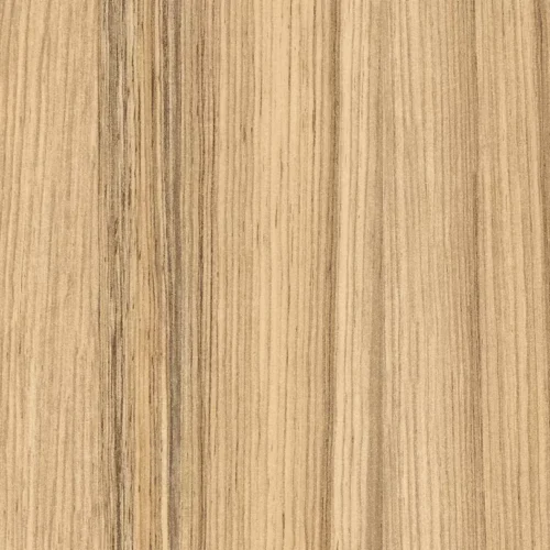 H3012 ST22 Coco Bolo