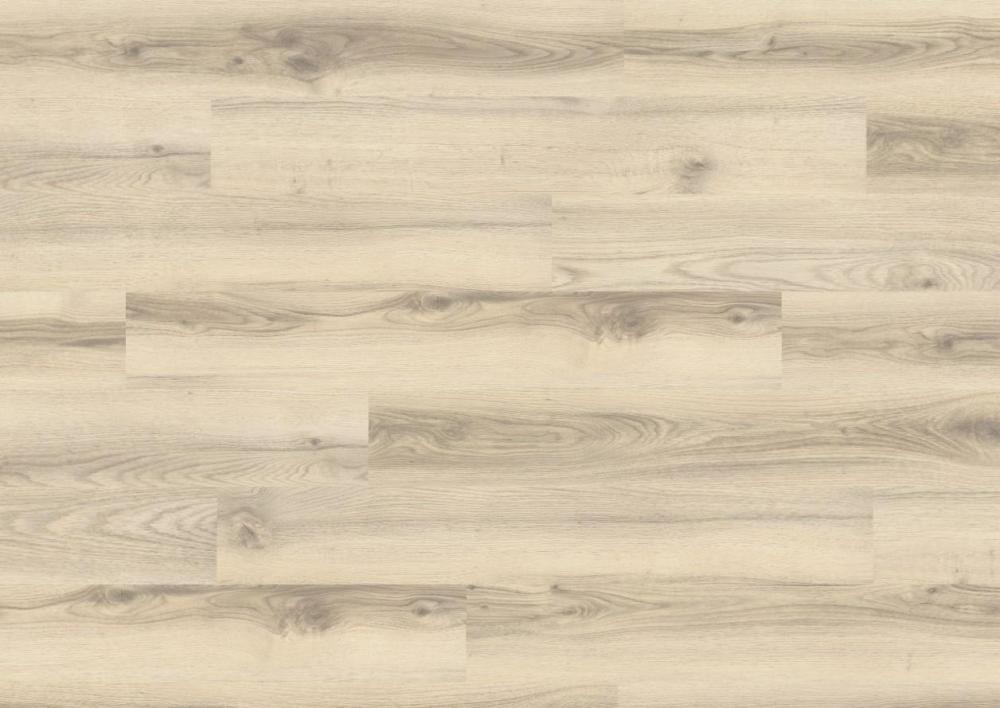 EBL008 Alberta hrast polar 8/31 Classic